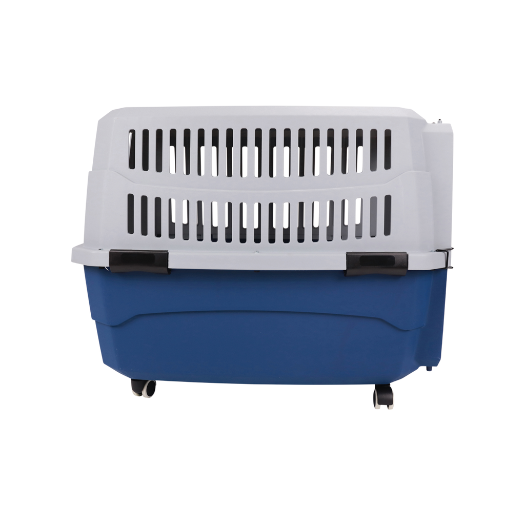 VIAGGIO Carrier Blue & Grey